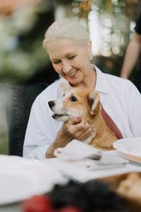 pet trust, pet planning